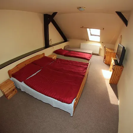 Kralovsky Dvur Hotel 3*